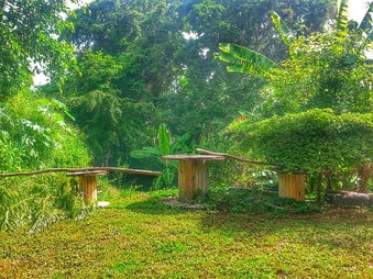 Foto de una finca utilizando conceptos de permacultura. Puedes ver grama con rollos de madera reciclado como mesas.
